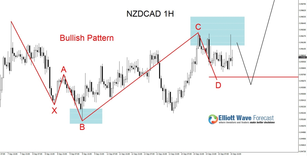 nzdcad1h