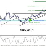NZDUSD : Trading the Move Higher