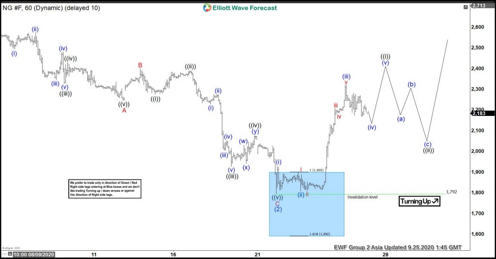 Natural Gas: Elliott Wave Hedging Called For A Minimum Reaction Higher