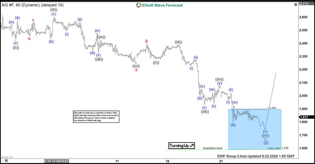 Natural Gas: Elliott Wave Hedging Called For A Minimum Reaction Higher