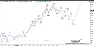 Tapestry Elliott Wave Daily