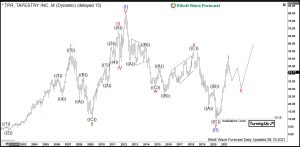 Tapestry Elliott Wave Monthly