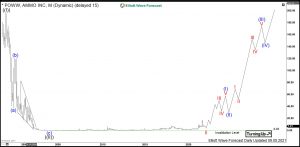 Ammo Elliott Wave Monthly