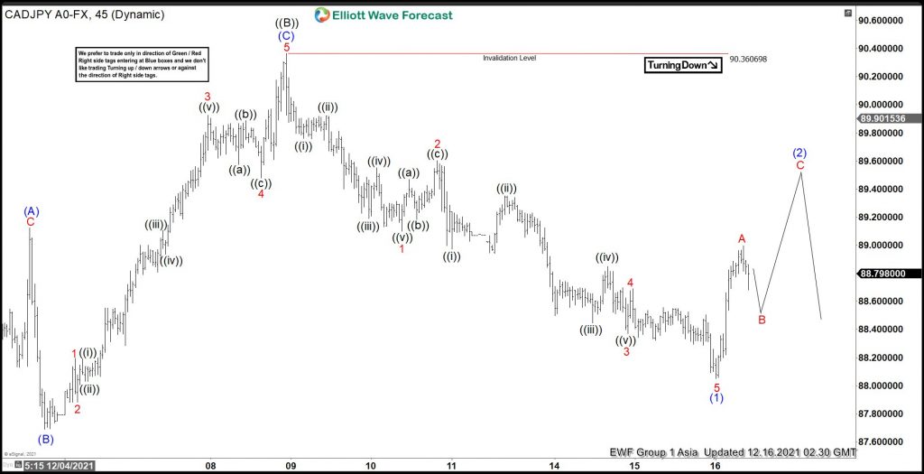 CADJPY Elliott Wave Video