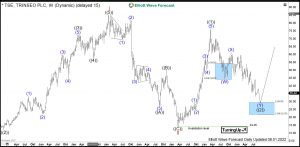 Trinseo Elliott Wave Weekly