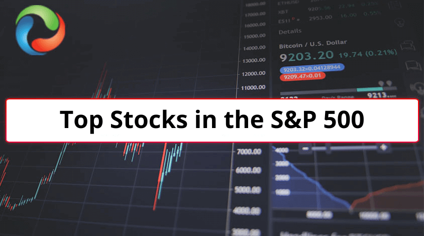 Top Stocks in the S&P 500