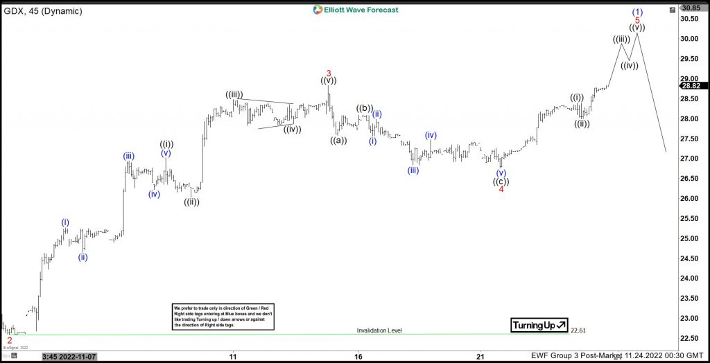 GDX Elliott Wave Video