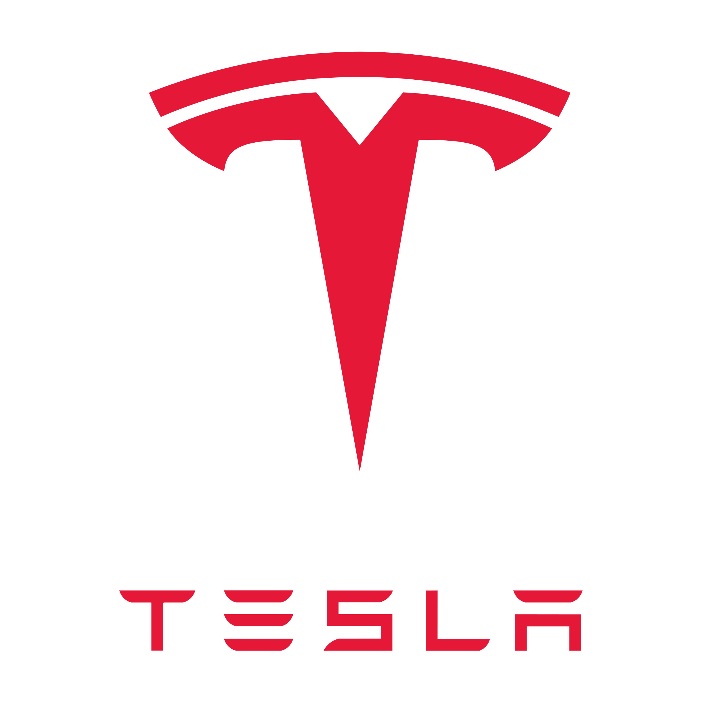 TSLA: Forecasting the decline in Tesla from November
