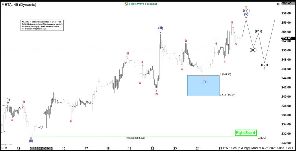 META: Wave (iv) Found Buyers Within Blue Box Area