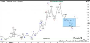 Carvana Elliott Wave Daily