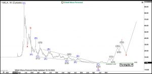 Nikola Elliott Wave Weekly