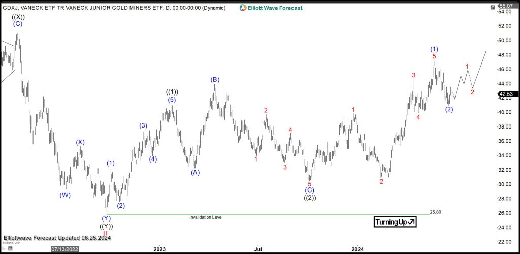 Gold Miners Junior ETF (GDXJ) Pullback Maybe Complete