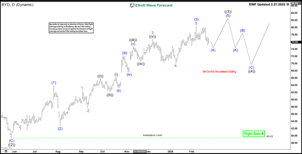 BYD Daily 2.27.2024