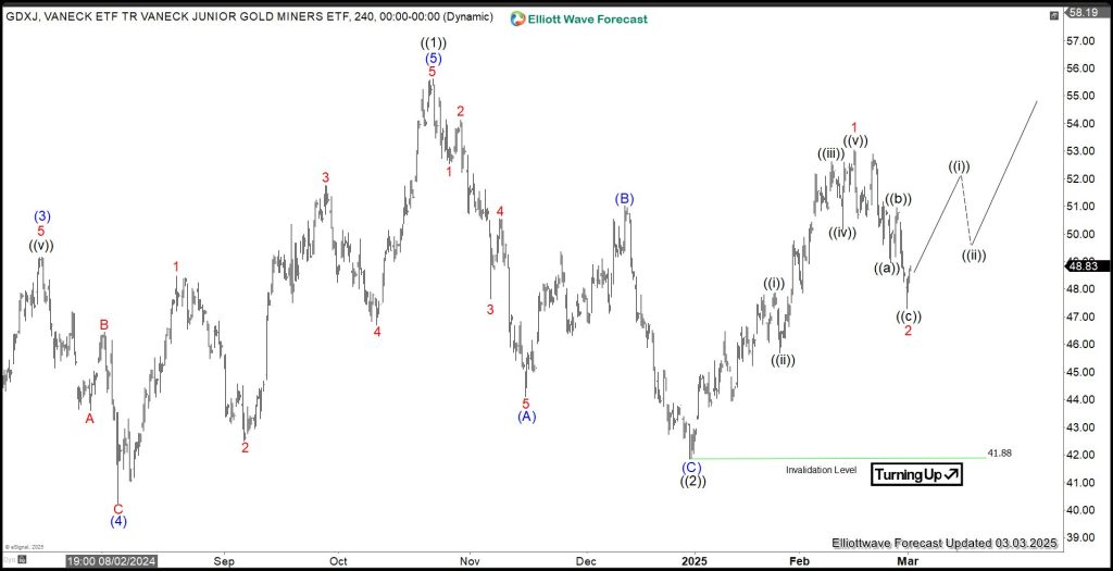 Gold Miners Junior ETF (GDXJ) Has Resumed the Rally Higher