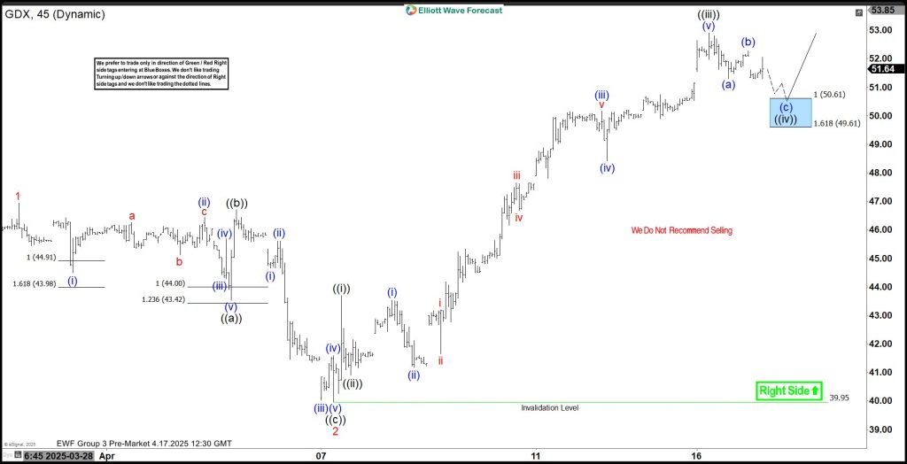 GDX Elliott Wave Setup: Buying the Dip in the Blue Box Zone
