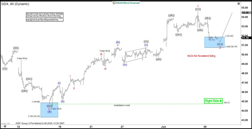 Gold Miners (GDX) Another Buying Opportunity at the Blue Box