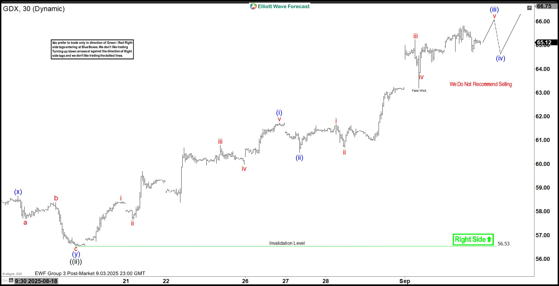 GDX Elliott Wave Chart