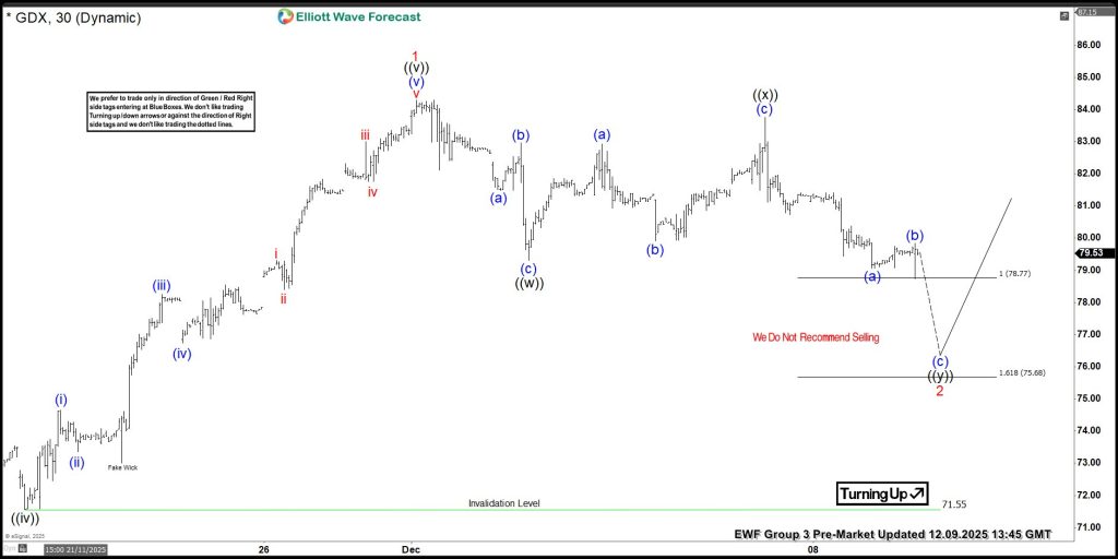 VanEck Gold Miners ETF $GDX Extreme Area Offers A Buying Opportunity