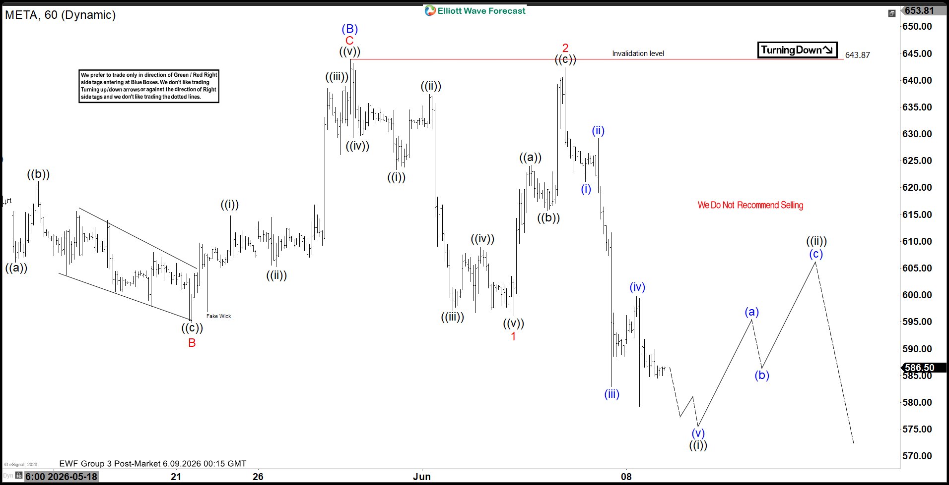 META Elliott Wave Chart
