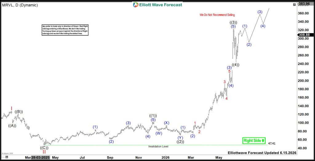 MRVL Targets $400: Elliott Wave III Expansion Signals Powerful Upside Move