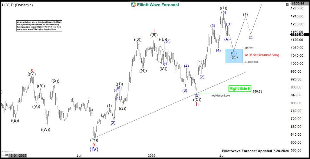 Eli Lilly & Company (LLY) Forecast: Bulls Watching the $1074–$1003 Support Zone