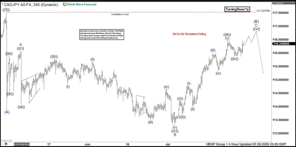 How Elliott Wave Mapped the CADJPY Drop